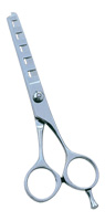 Professional Thinning Scissor.